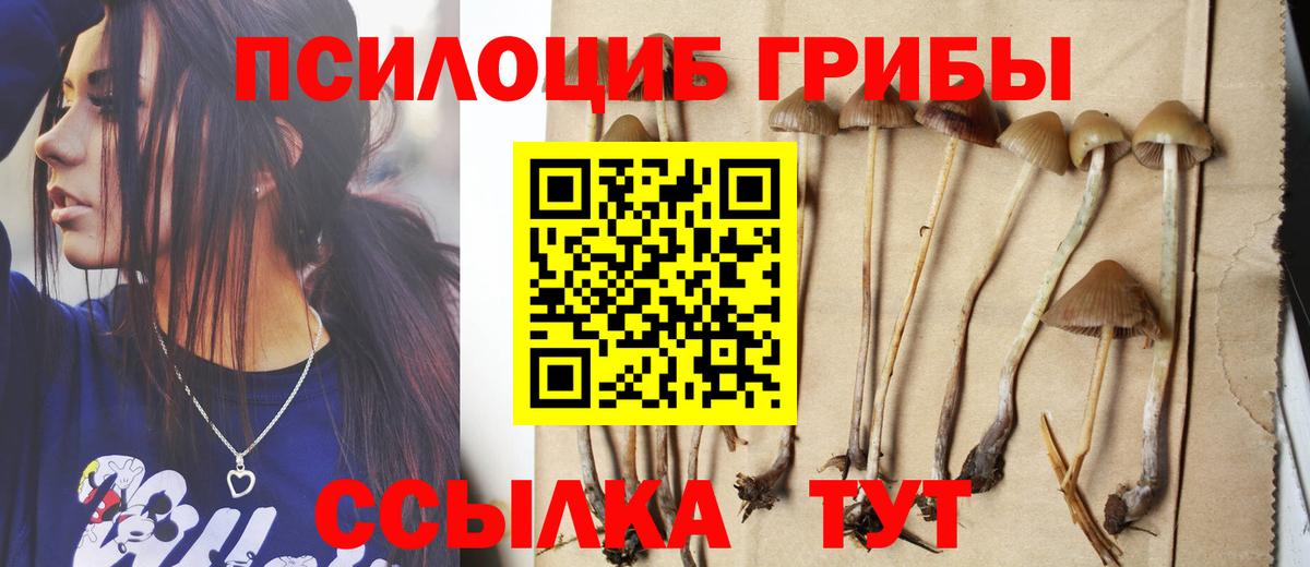 Майский  Псилоцибиновые грибы Psilocybe  Вход с VPN  купить закладку  Галлюциногенные грибы Psilocybine cubensis 